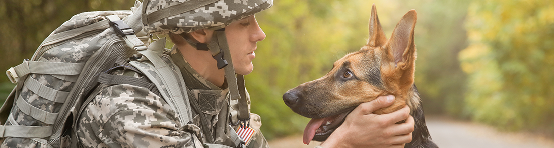 Military Pet Discount