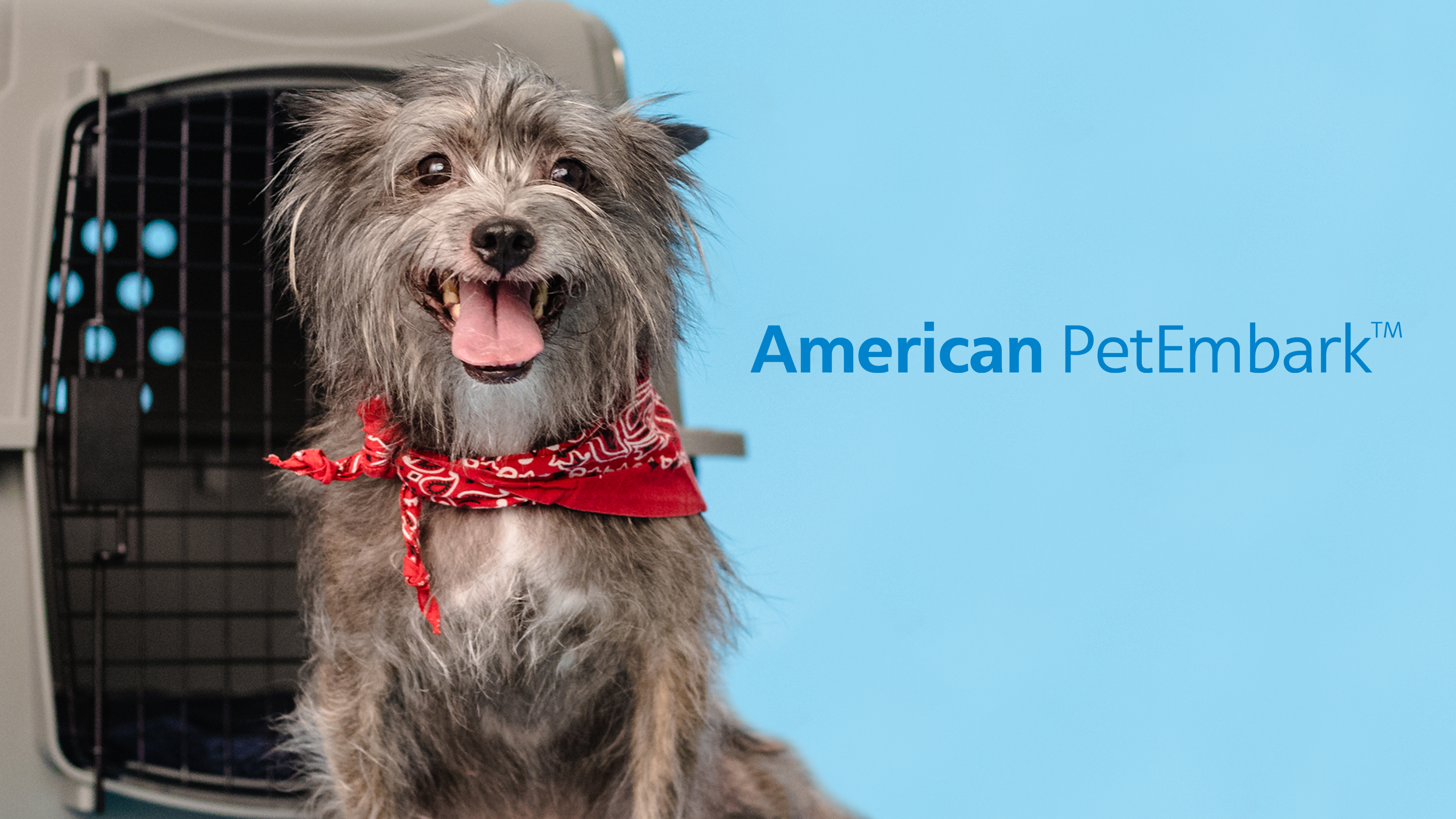 image of PetEmbark dog
