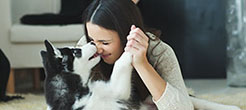 Pets fly safely.